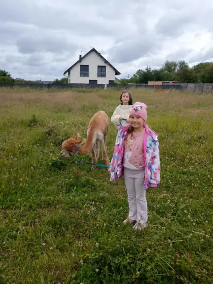Uczennice klasy 1a z alpaką