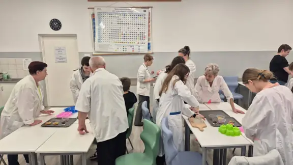 fb-img-1766251081810-jpg