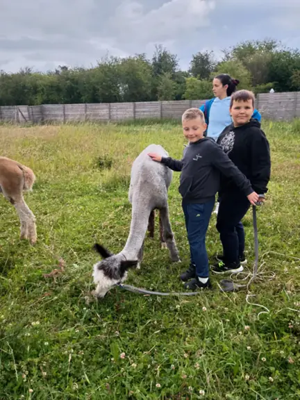 Chłopcy z klasy 1a z alpaką