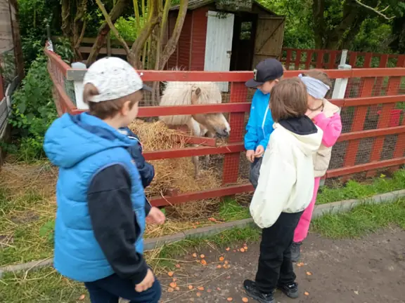 Uczniowie klasy 1a z kucykiem