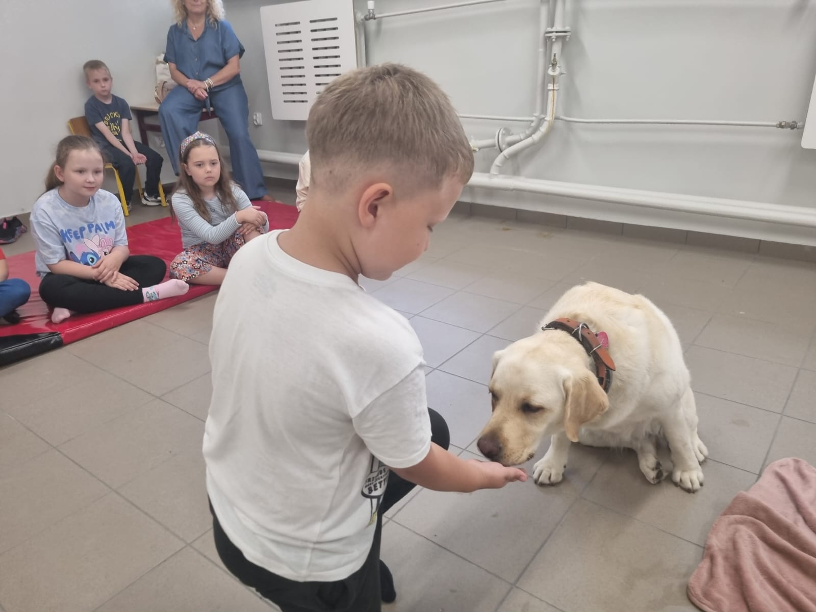 Ogólnopolski Dzień dogoterapii - zdjęcie 2