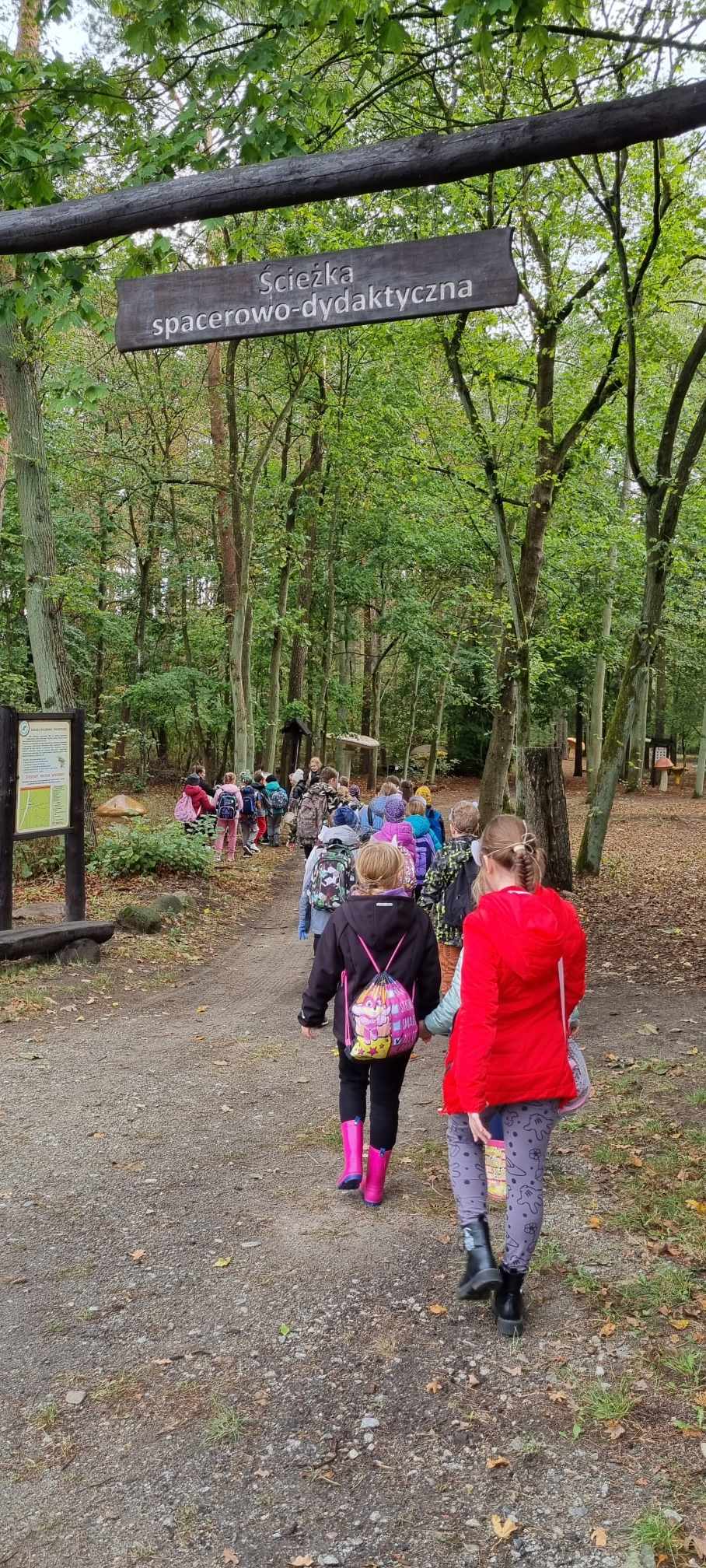 dzieci idą na spacer do lasu